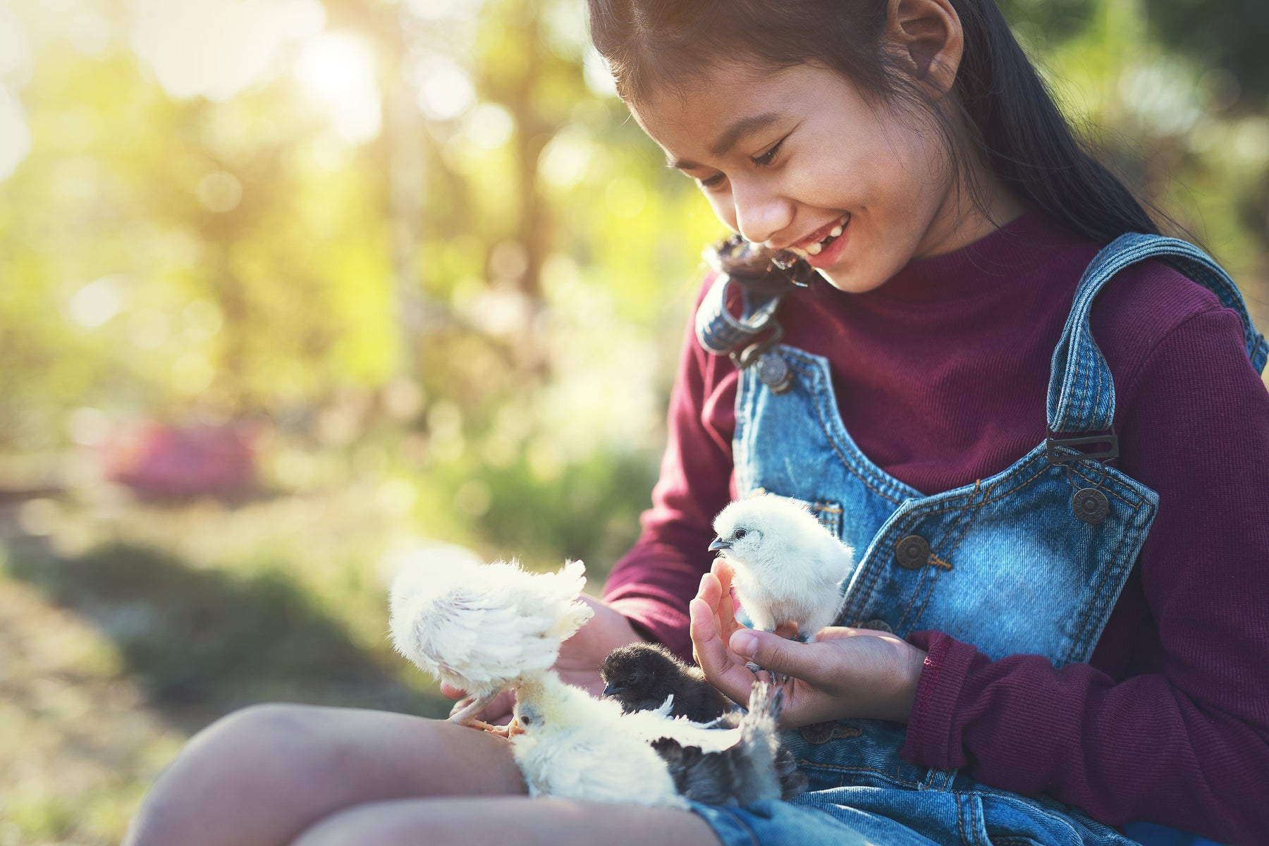 Do you wish to adopt some hatchings? These are the policies that you need to know.