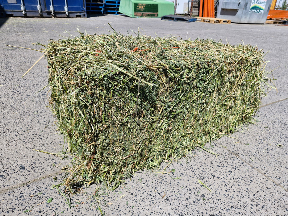 Lucerne First Grade - Fresh Cut