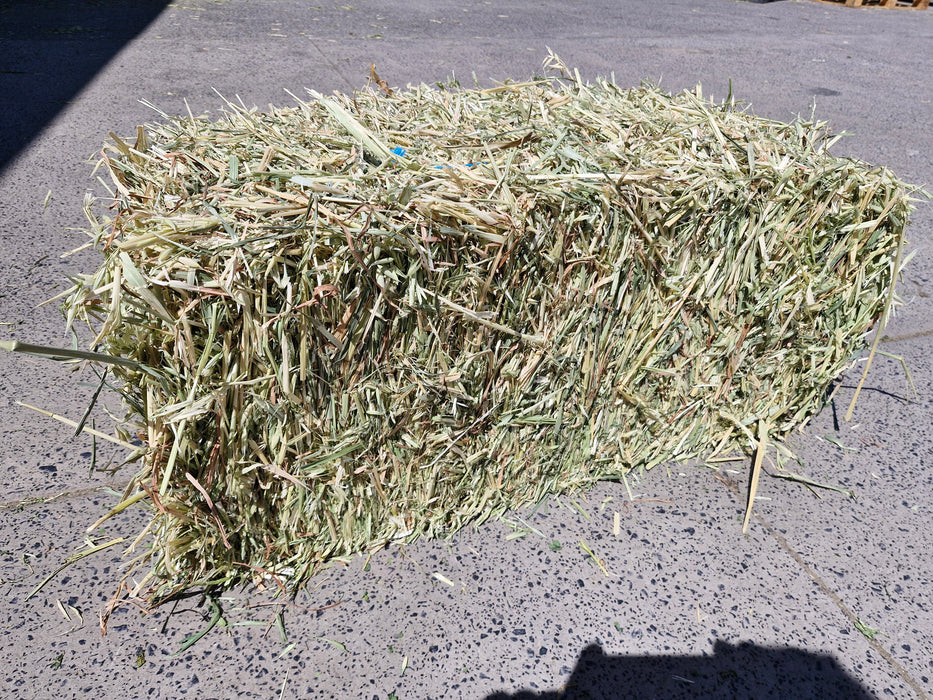 Oaten Hay - Fresh Cut