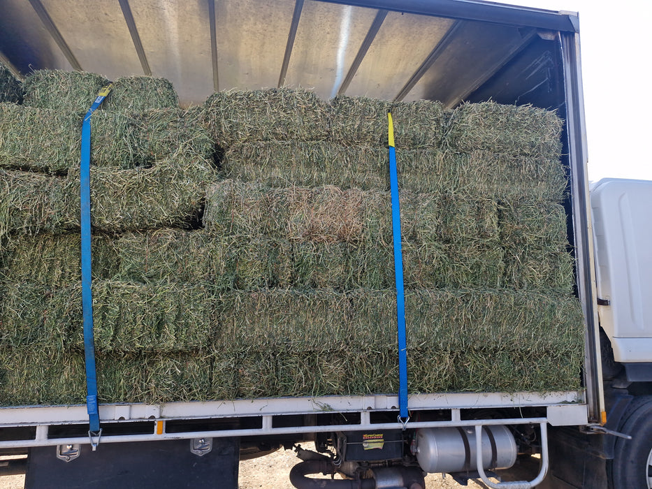 Lucerne First Grade - Fresh Cut