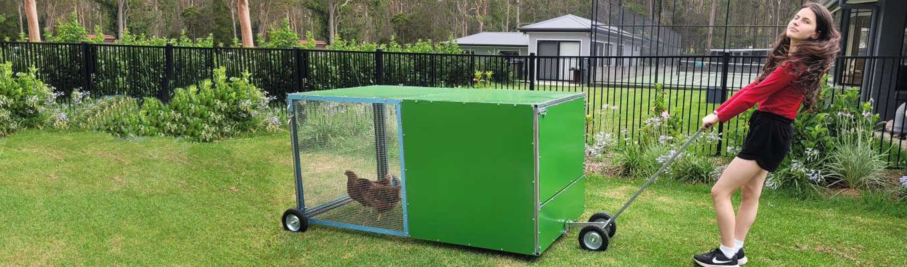 Chicken Hatching Program Hatching Chicks Program - Chick And Duckling Hatching For Schools ELCs